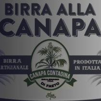 Birra alla Canapa: La fresca novità di Canapa Contadina